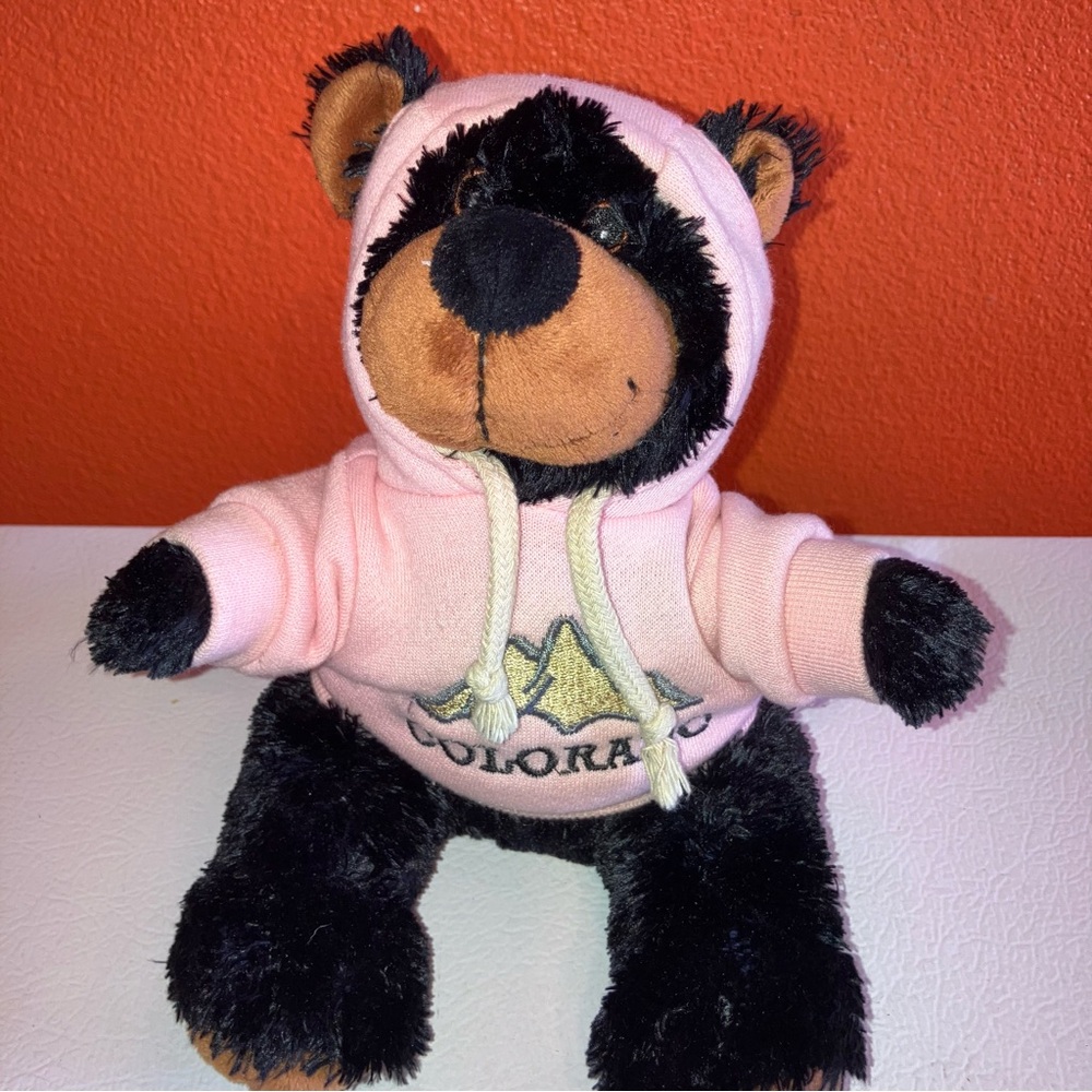 Black Stuffed Bear‎ with Colorado Hoodie